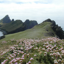 St Kilda: A Wildlife Cruise to the Outer Hebrides